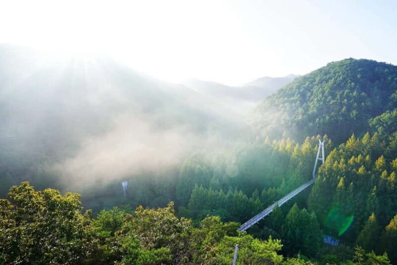 Suwon Hwaseong Fortress & Jangtaesan Tour: Autumn Leaves - Frequently Asked Questions