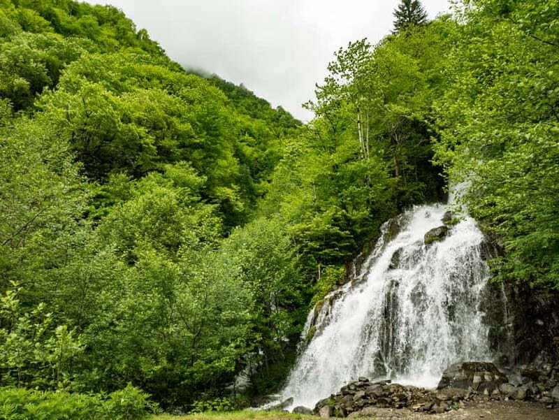 Svaneti Towers Private Tour to Mestia, Hatsvali, Ushguli - Exploring the Heart of Svaneti: An In-Depth Look