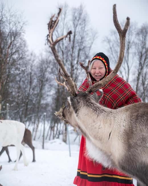 Svolvær: Sami Culture and Reindeer Experience - Who Should Consider This Tour?