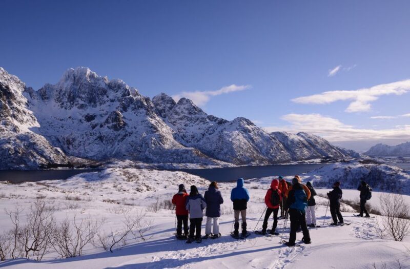 Svolvær: Snowshoe Nature Explorer - Svolvær: Snowshoe Nature Explorer - An Authentic Arctic Adventure