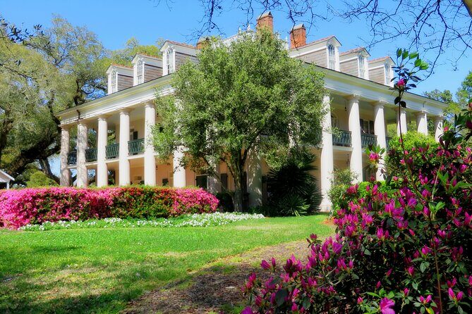 Swamp Boat Ride and Oak Alley Plantation Tour from New Orleans - A Closer Look at the Tour Itinerary