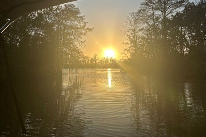 Swamp - Eco - Cruise and Walking Tour - A Close-Up Look at the Swamp - Eco - Cruise and Walking Tour