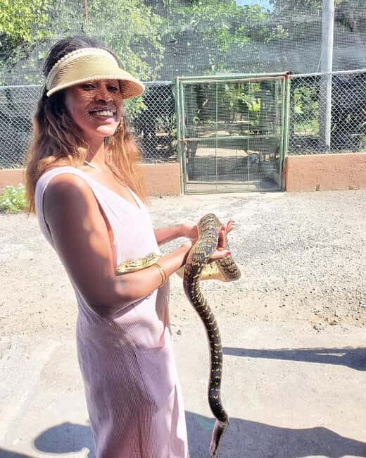 Swamp Safari and Rose Hall Great House Day Tour - Key Points