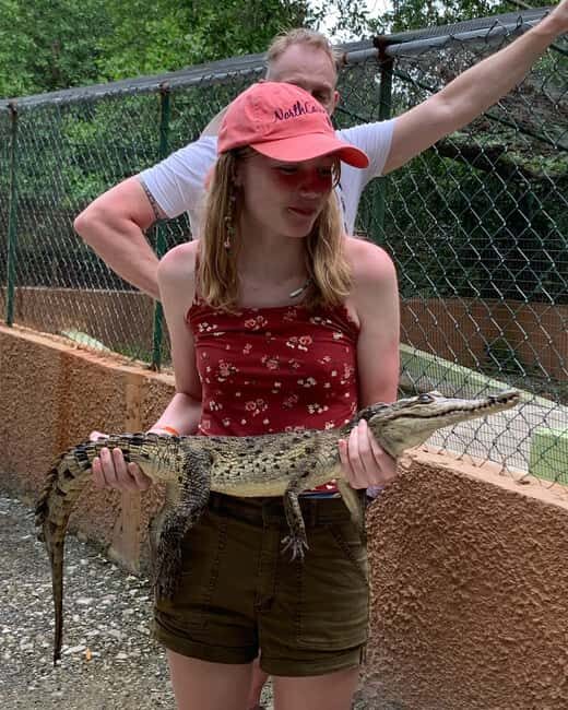 Swamp Safari and Rose Hall Great House Day Tour - A Comprehensive Look at the Swamp Safari and Rose Hall Tour