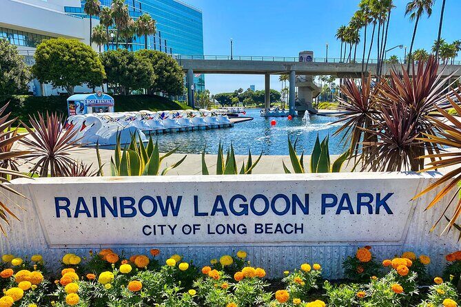 Swan Boat Rental at Rainbow Lagoon in Long Beach - The Sum Up