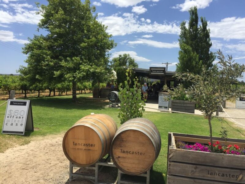 Swan Valley: Full-Day Wine Tour with Lunch - Who Is This Tour Best Suited For?