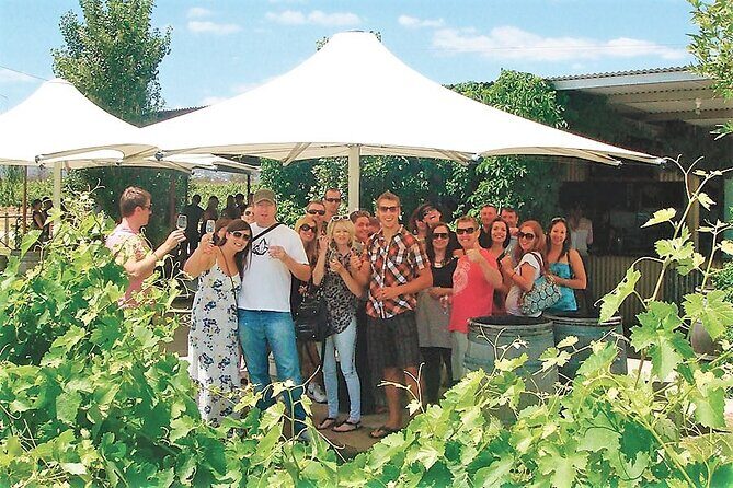 Swan Valley Winery Experience - Full Day Coach Tour - Full Review of the Swan Valley Winery Experience – A Full Day Among the Vines