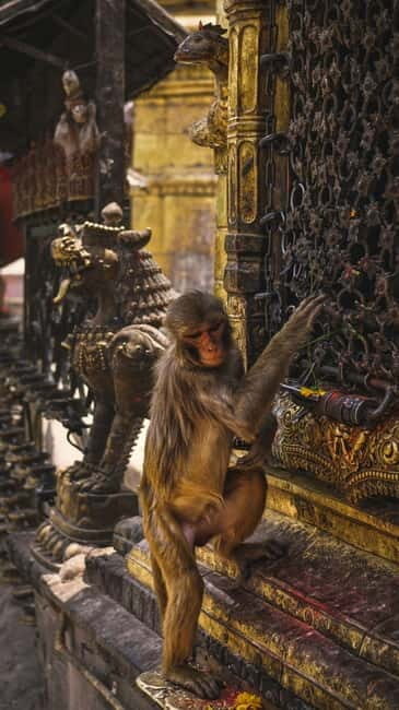 Swayambhunath: Sunset and City Lights Tour - Key Points