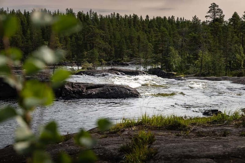 Swedish Lapland: Midnight Sun Photography Workshop - Who Should Consider This Workshop?