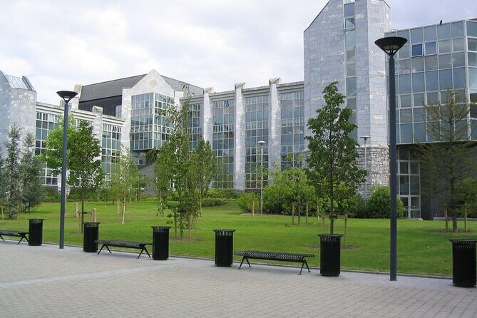 Sweet Strolls: A Private Family Walking Tour in Cork - Who Should Consider This Tour?