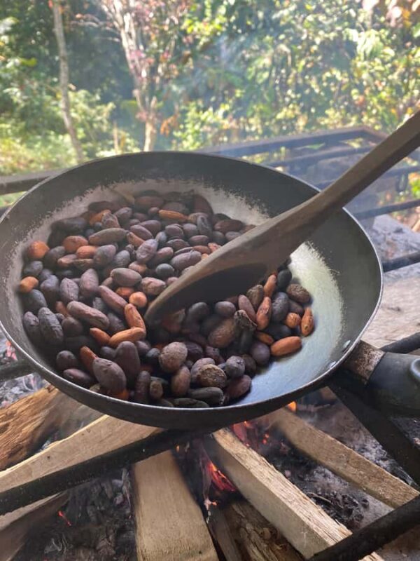 Swetness and Smoothness of "Tour" Chocolate - Swetness and Smoothness of "Tour" Chocolate: A Colombian Cocoa Experience