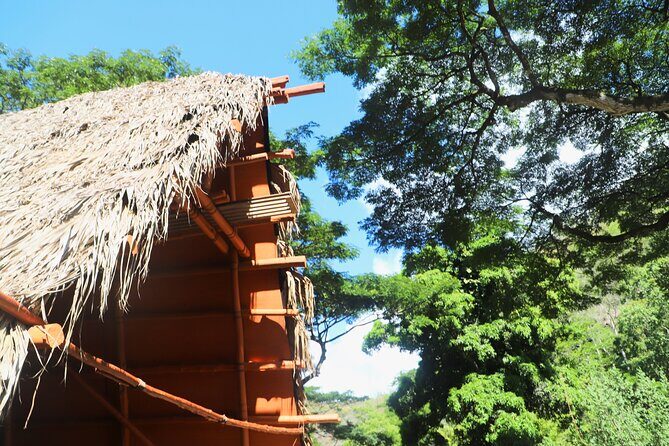 Swim at Oahu Waterfall in Waimea with Coffee, Lunch and Dole - Discovering Hawaii’s Natural Wonders: A Deep Dive into the Waimea Waterfall Tour