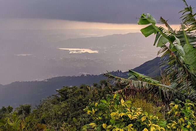 Swim, Explore & Identify Tropical Flora - Location and Transportation