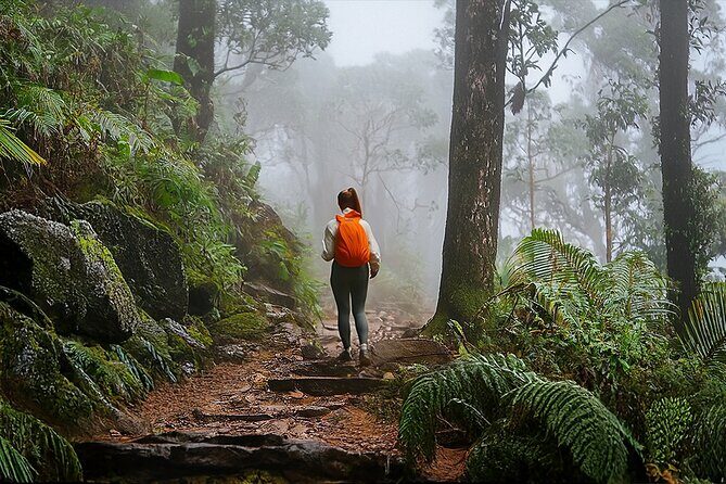 Swim, Explore & Identify Tropical Flora - The Itinerary: A Close Look