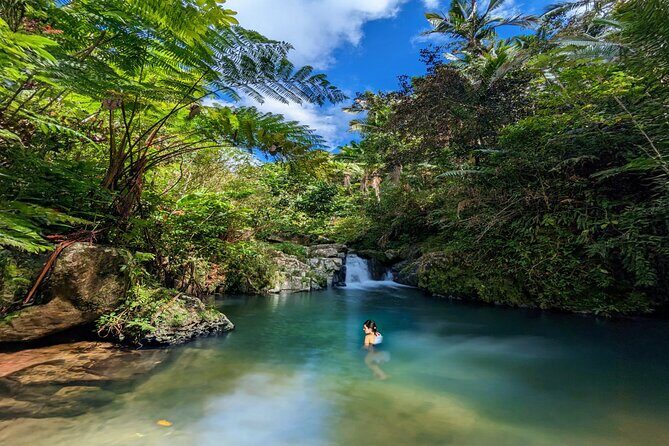 Swim, Explore & Identify Tropical Flora - What Travelers Say