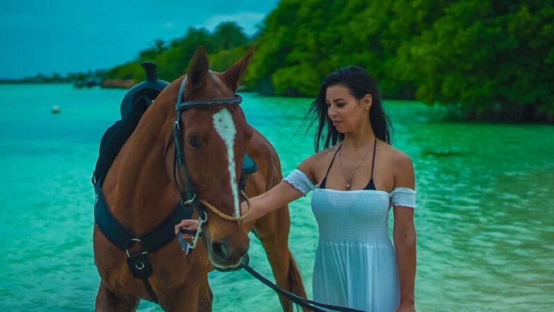 Swim Horse fom Punta Cana - Practical Considerations and Tips