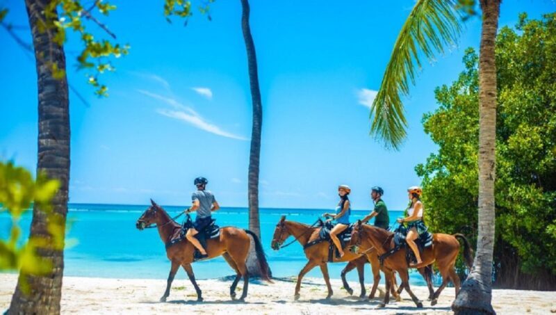 Swim Horse fom Punta Cana - What Travelers Are Saying