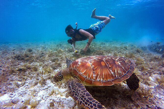 Swim & Reef Snorkeling Bonaire - Key Points