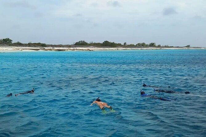 Swim & Reef Snorkeling Bonaire - Comfort and Convenience Onboard