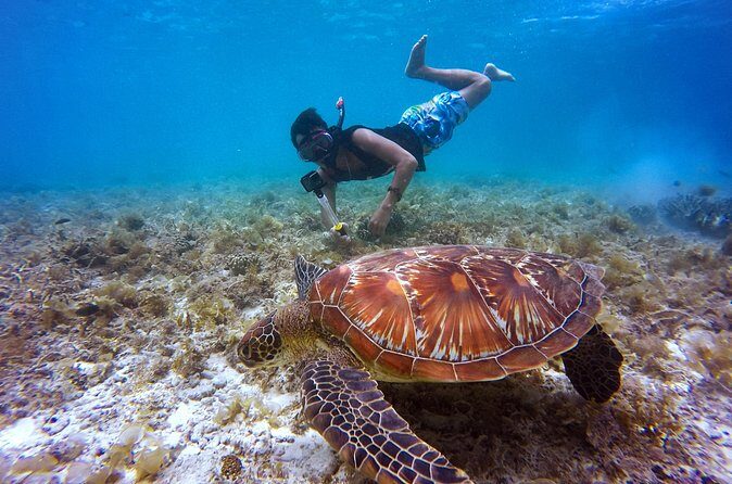 Swim & Reef Snorkeling Bonaire - Authenticity and Overall Value