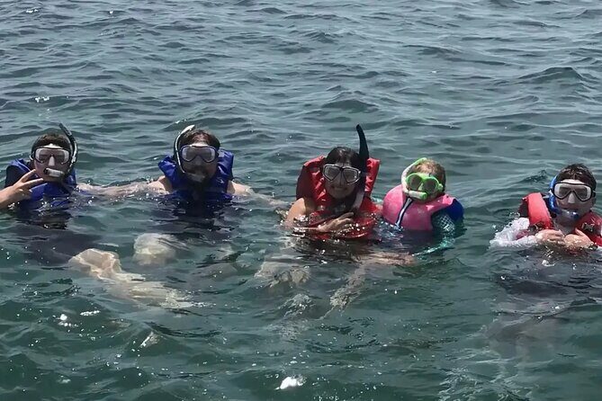 Swim with Dolphins And Snorkeling Group Tour - Key Points