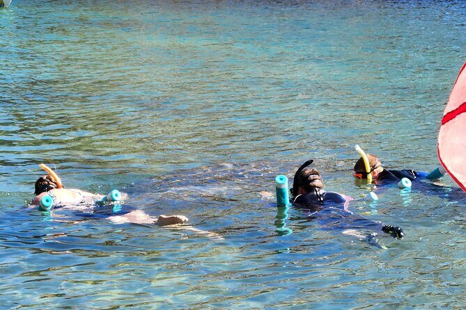 Swim With Manatees In Crystal River - FAQ: Your Practical Questions Answered