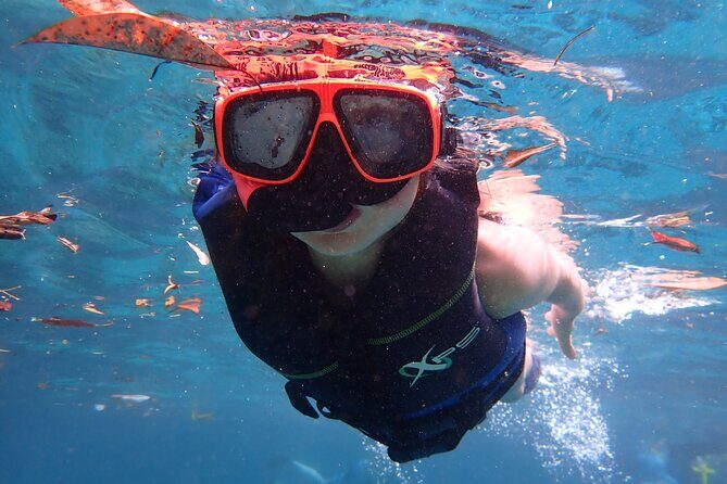 Swim With Manatees In Crystal River, Florida - An In-Depth Look at the Manatee Kayak Tour
