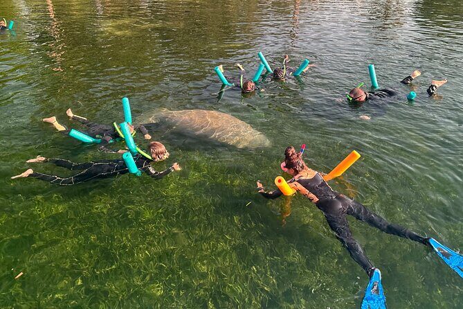 Swim with Manatees Private Tour - Why This Tour Stands Out
