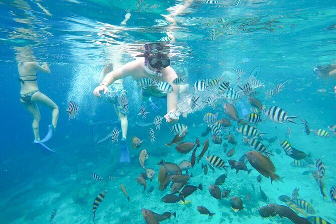 Swim With Manta Rays Snorkeling Nusa Penida - Authentic Marine Encounters & Authentic Local Flavors