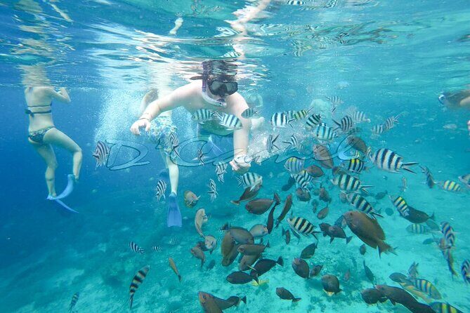 Swim With Manta Rays Snorkeling Nusa Penida - FAQ