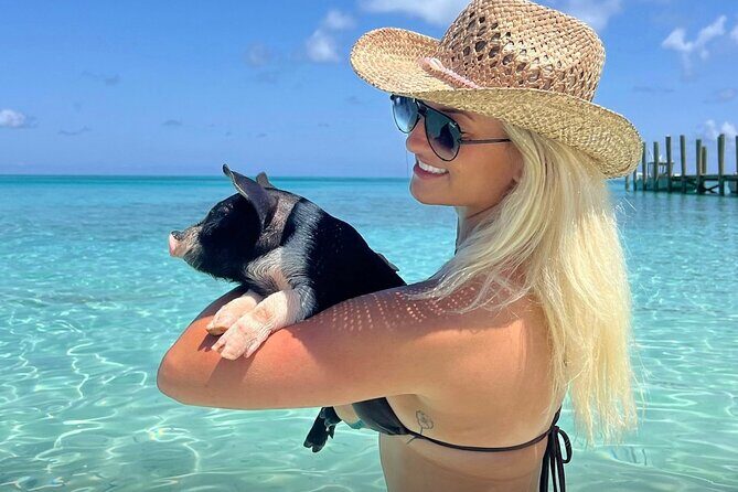 Swim with Pigs and Beach Snorkeling Adventure Rose Island Bahamas - A Detailed Look at the Rose Island Swimming Pigs and Snorkeling Tour