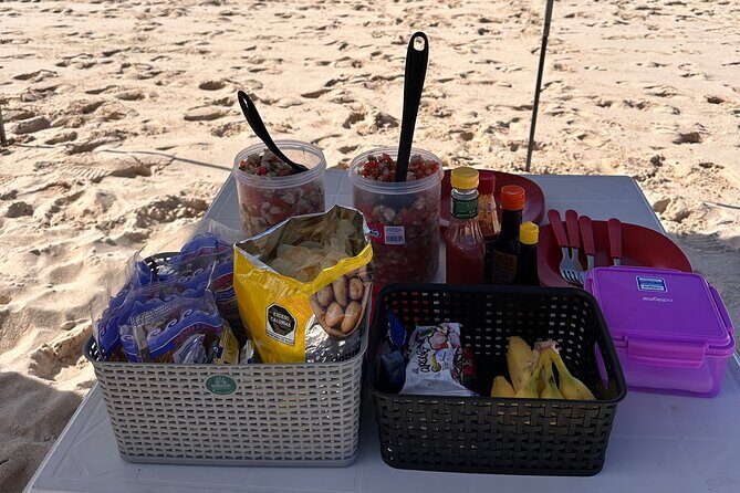 Swim with Sea Lions in La Paz - Why This Tour Is Worth Considering