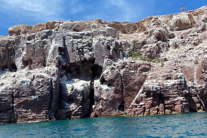 Swim with Sea Lions in La Paz - Who Should Book This Tour?