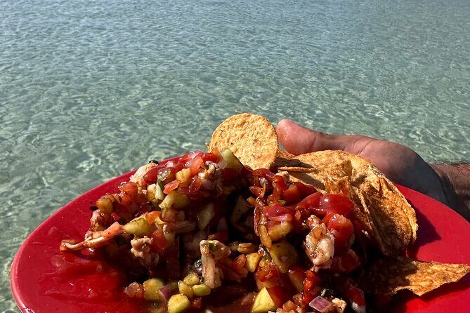 Swim with Sea Lions in La Paz - Frequently Asked Questions