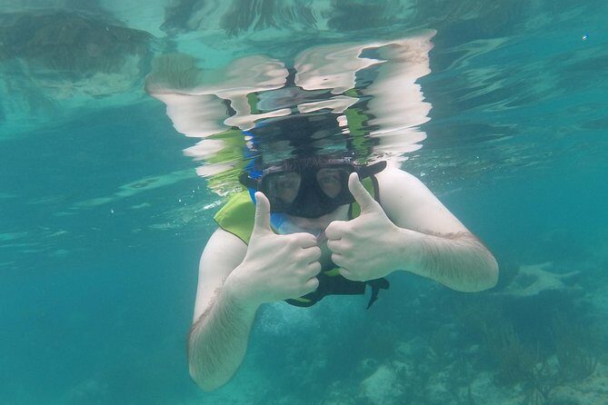 Swim with sea turtles - The Value and Cost Effectiveness