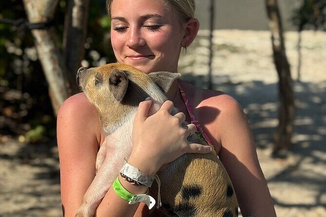 Swim with the Pigs Freeport @Creative Eco Adventures - The Sum Up: Is This Experience Worth It?