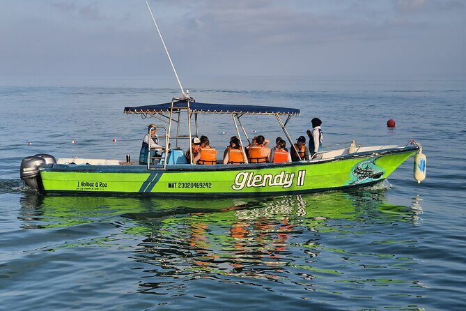 Swim with the Whale Shark on Holbox Island - An In-Depth Look at the Whale Shark Tour