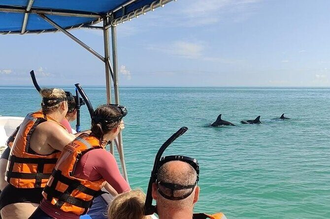 Swim with the Whale Shark on Holbox Island - Is This Tour Right for You?