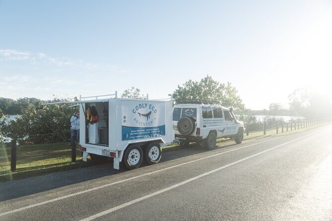 Swim with Whales Gold Coast - Who Will Love This Tour?