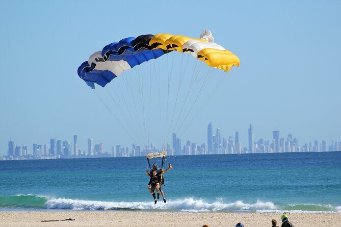 Swim with Whales in Gold Coast - Exploring the Details of the Gold Coast Whale Swim Experience