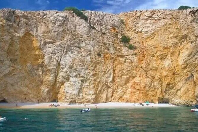 Swimming and Snorkeling on the Wild Bays 3.5 Hours (PUBLIC) - The Experience in Detail