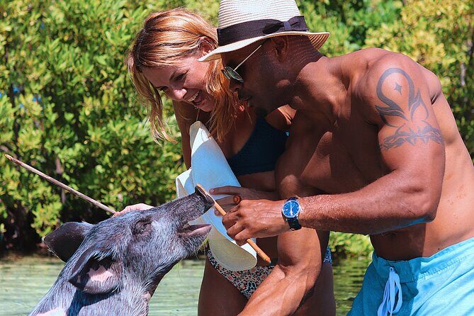 Swimming Pigs & ATV Tour - Final Thoughts