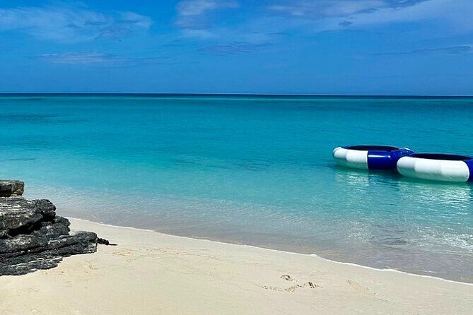 Swimming Pigs Encounter and Rose Island Beach Day Adventure - Authentic Experiences and What to Expect