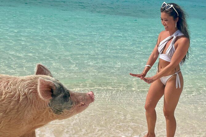 Swimming Pigs Encounter and Rose Island Beach Day Adventure - FAQ