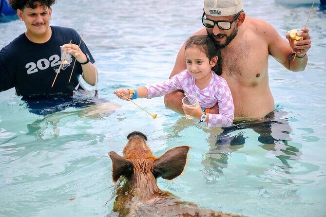 Swimming Pigs Of Rose Island Water Taxi Nassau Bahamas - Key Points