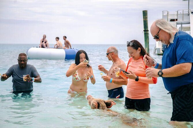 Swimming Pigs Of Rose Island Water Taxi Nassau Bahamas - The Sum Up