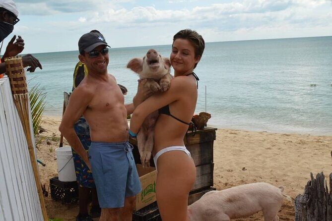 Swimming Pigs & Tour with Transportation to Rose Island - The Return Trip and Reflection