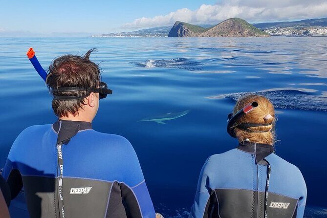 Swimming with Dolphins in Terceira Island - Frequently Asked Questions
