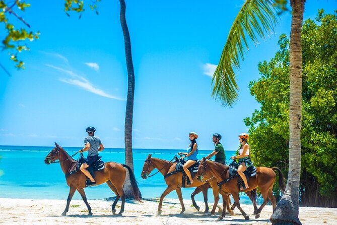 Swimming with Horses at the Beach from Punta Cana Free transportation - The Sum Up: Who Should Consider This Tour?