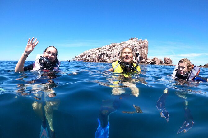 Swimming with sea lions in Isla Espiritu Santo, La Paz, Mexico - What It’s Like on the Water